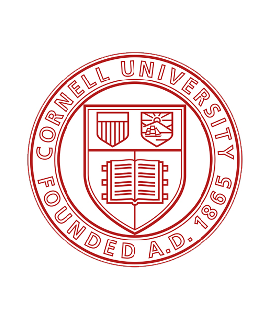 Career Counselling 4 Cornell University