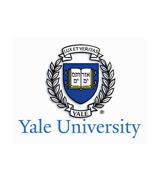 Career Counselling 10 Yale University